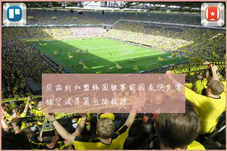 贝兹利加盟韩国联赛前因表现失常被宁波男篮当场裁掉
